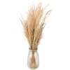 Clayre & Eef 5DF0020 Flores secas 55 cm (100 gr) Beige