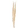 Clayre & Eef 5DF0021 Flores secas 90 cm (10) Blanco