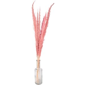 Clayre & Eef 5DF0022 Flores secas 100 cm (10) Rosa