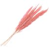 Clayre & Eef 5DF0022 Flores secas 100 cm (10) Rosa