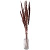 Clayre & Eef 5DF0023 Flores secas 100 cm (10) Marrón