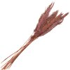 Clayre & Eef 5DF0024 Flores Secas Bambú 100 cm (10) Rosa