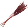 Clayre & Eef 5DF0032 Flores Secas Bambú 100 cm (10) Rojo