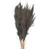 Clayre & Eef 5DF0033 Flores Secas Bambú 100 cm (10) Gris