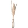 Clayre & Eef 5DF0034 Flores secas 100 cm (10) Beige
