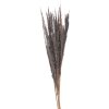 Clayre & Eef 5DF0035 Flores secas 100 cm (10) Gris