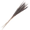Clayre & Eef 5DF0035 Flores secas 100 cm (10) Gris