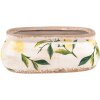 Clayre & Eef 6CE1531S Macetero Amarillo Beige 18x7x7 cm Diseño Botánico