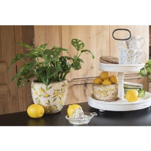 Clayre & Eef 6CE1532L Maceta Limones Amarillo Ø 17x16cm