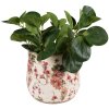Clayre & Eef 6CE1549M Maceta Cerámica Ø 18x16 cm Rosa Beige Estilo Barroco
