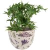 Clayre & Eef 6CE1553M Maceta decorativa Ø 20x15 cm Violeta - Verde