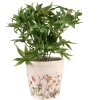 Clayre & Eef 6CE1555M Decoración Maceta Ø 14x13 cm Rosa Beige