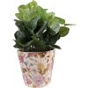 Clayre & Eef 6CE1562S Maceta decorativa Ø 14x13 cm Rosa - Beige