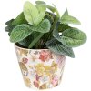 Clayre & Eef 6CE1562XS Maceta decorativa Ø 12x10 cm Rosa - Beige