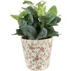 Clayre & Eef 6CE1566L Maceta decorativa Ø 19x18 cm Rosa - Beige