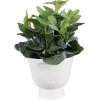 Clayre & Eef 6CE1570L Maceta decorativa Ø 17x15 cm Blanca