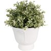 Clayre & Eef 6CE1570M Maceta decorativa Ø 14x12 cm Blanca