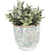 Clayre & Eef 6CE1574S Maceta decorativa Ø 15x14 cm Verde - Beige