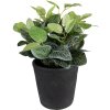 Clayre & Eef 6CE1579L Maceta decorativa Ø 16x16 cm Gris