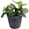 Clayre & Eef 6CE1579M Maceta decorativa Ø 12x10 cm Gris