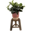 Clayre & Eef 6H2216 Jardinera Ø 18x21 cm Marrón
