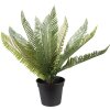 Clayre & Eef 6PL0225 Decoración Planta Artificial 50x50x38 cm Verde