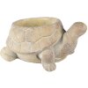Clayre & Eef 6TE0458 Maceta Tortuga Ø 22x16x10 cm Beige