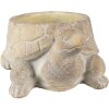 Clayre & Eef 6TE0458 Maceta Tortuga Ø 22x16x10 cm Beige