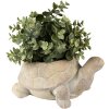 Clayre & Eef 6TE0458 Maceta Tortuga Ø 22x16x10 cm Beige