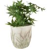 Clayre & Eef 6TE0463M Maceta Ø 16x17 cm Verde - Beige Redonda