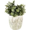 Clayre & Eef 6TE0463S Maceta Ø 13x13 cm Verde - Beige