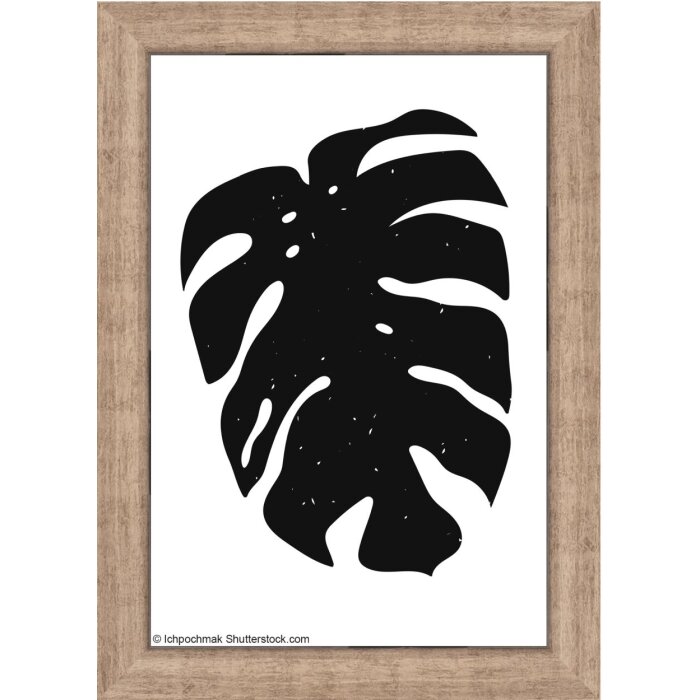 Marco de madera Walther Liv Monstera 10x15 cm Gris