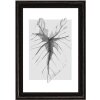 Marco de madera Walther Ilo 10x15 cm cristal acrílico negro