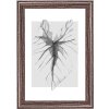 Marco de madera Walther Ilo 10x15 cm cristal acrílico marrón oscuro