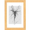 Marco de madera Walther Ilo 10x15 cm cristal acrílico marrón claro