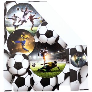 HERMA 19716 Organizador de carpetas de cartón A4 diseño fútbol agujero de agarre