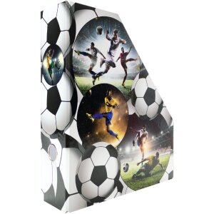 HERMA 19716 Organizador de carpetas de cartón A4 diseño fútbol agujero de agarre