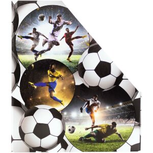 HERMA 19716 Organizador de carpetas de cartón A4 diseño fútbol agujero de agarre