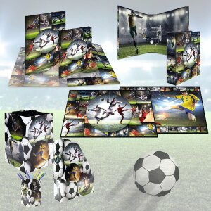 HERMA 19716 Organizador de carpetas de cartón A4 diseño fútbol agujero de agarre