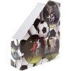 HERMA 19716 Organizador de carpetas de cartón A4 diseño fútbol agujero de agarre