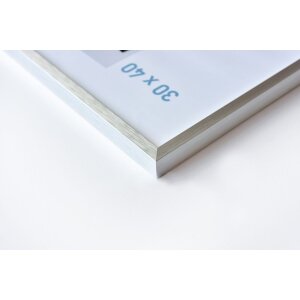 Nielsen Marco de aluminio C2 estructura plata mate 60x80 cm cristal acrílico