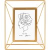 Goldbuch marco de metal Saluzzo oro 10x15 cm