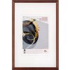 Marco de madera Walther Select 30x40 cm cristal de arte marrón