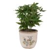 Clayre & Eef 6CE1607M Maceta para Interior Beige Amarillo Ø 16x14 cm