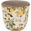 Clayre & Eef 6CE1609XS Maceta para Interior Beige Amarillo Ø 11x10 cm