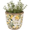Clayre & Eef 6CE1609XS Maceta para Interior Beige Amarillo Ø 11x10 cm
