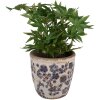 Clayre & Eef 6CE1619L Maceta para Interior Beige Azul Ø 17x16 cm
