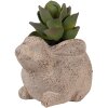 Clayre & Eef 6CE1622 Maceta de interior Beige 17x12x12 cm