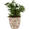 Clayre & Eef 6CE1631L Macetero Beige Rojo Ø 16x16 cm Estilo campestre