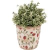 Clayre & Eef 6CE1631S Maceta para Interior Beige Rojo Ø 13x13 cm